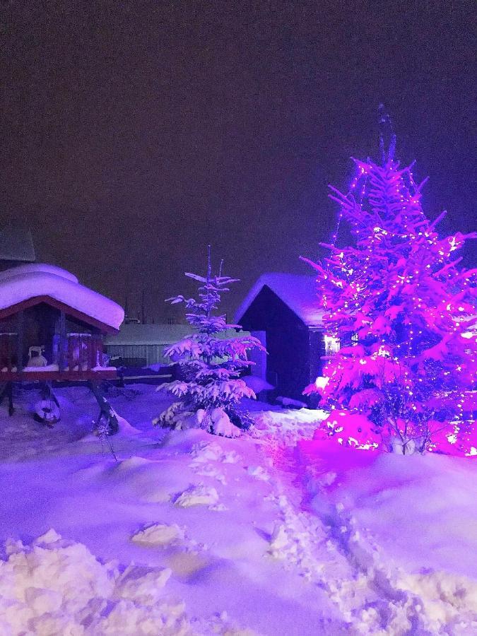 Тіна Hotel Slavske Bagian luar foto